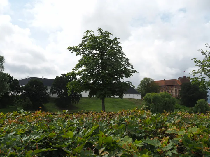 Kolding (Denemarken)